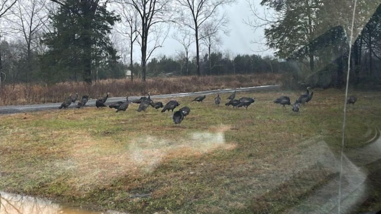 Photo of Others in Murfreesboro