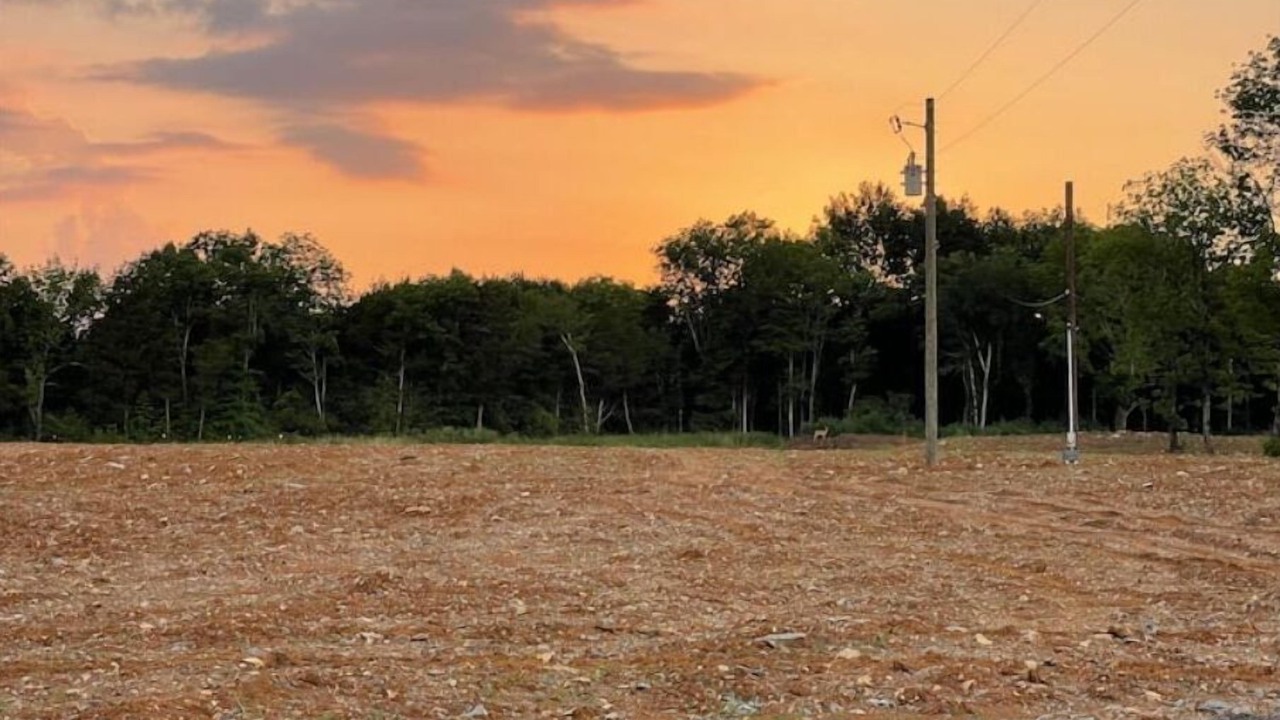 Photo of Outdoor in Murfreesboro