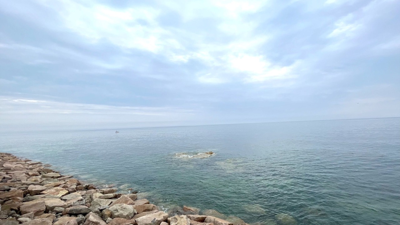 Photo of Others in Hartlepool