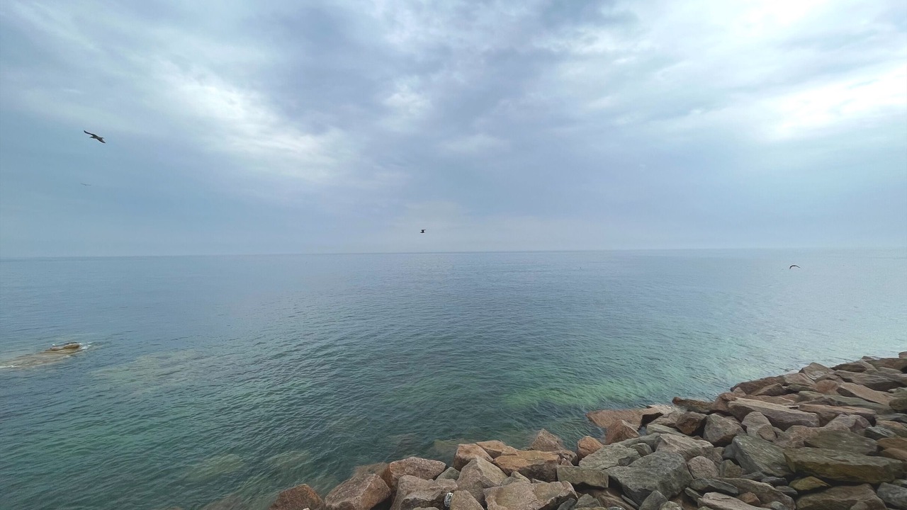 Photo of Others in Hartlepool