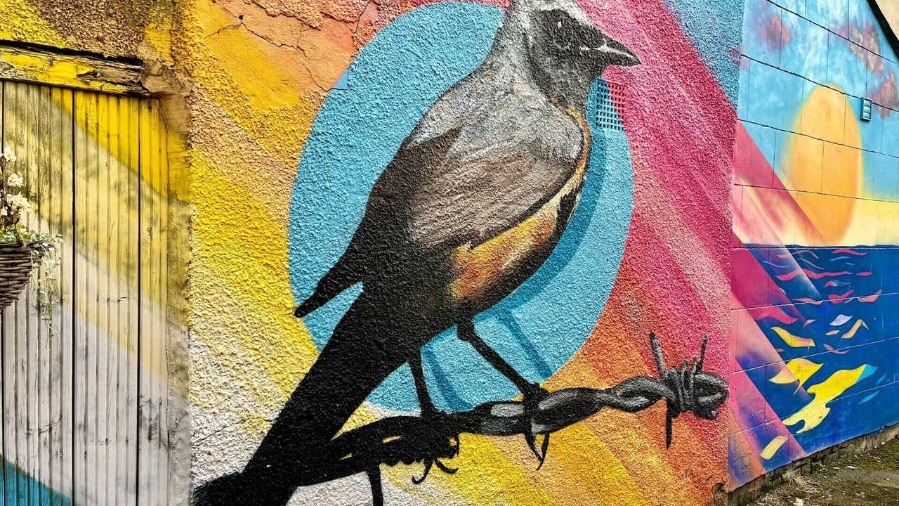 Photo of Outdoor in Hartlepool