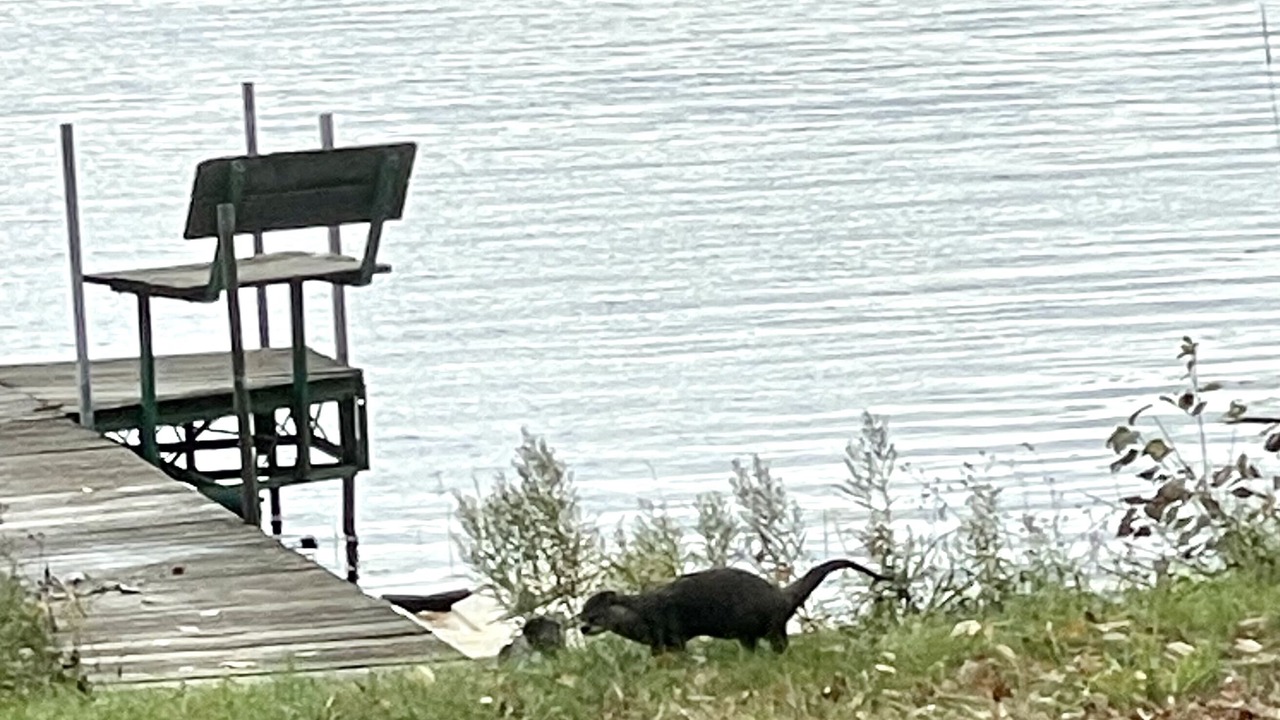 Photo of Others in Turtle Lake