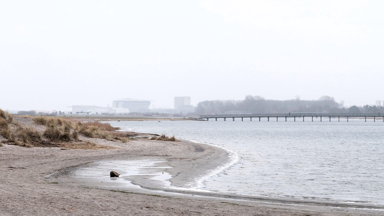 Photo of Others in Amager