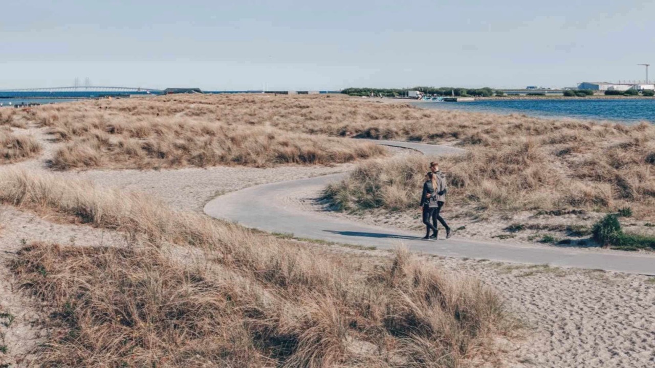 Photo of Others in Amager