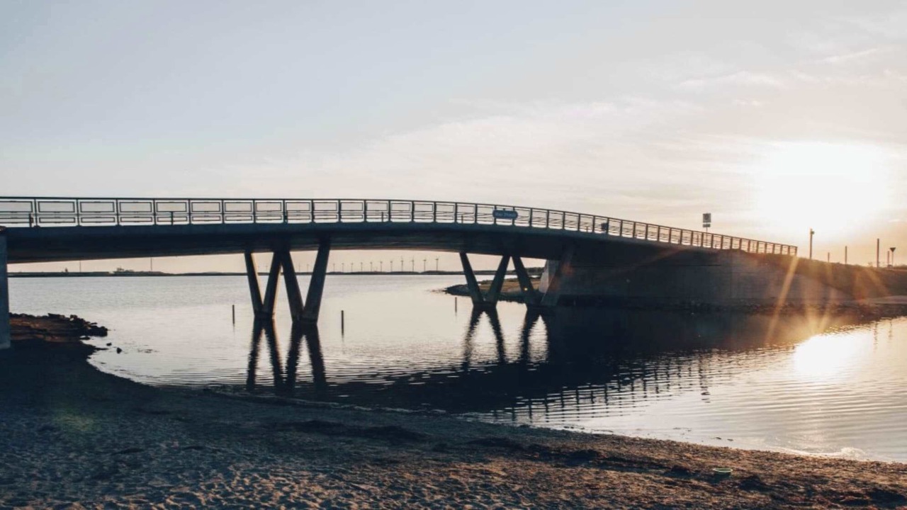 Photo of Others in Amager