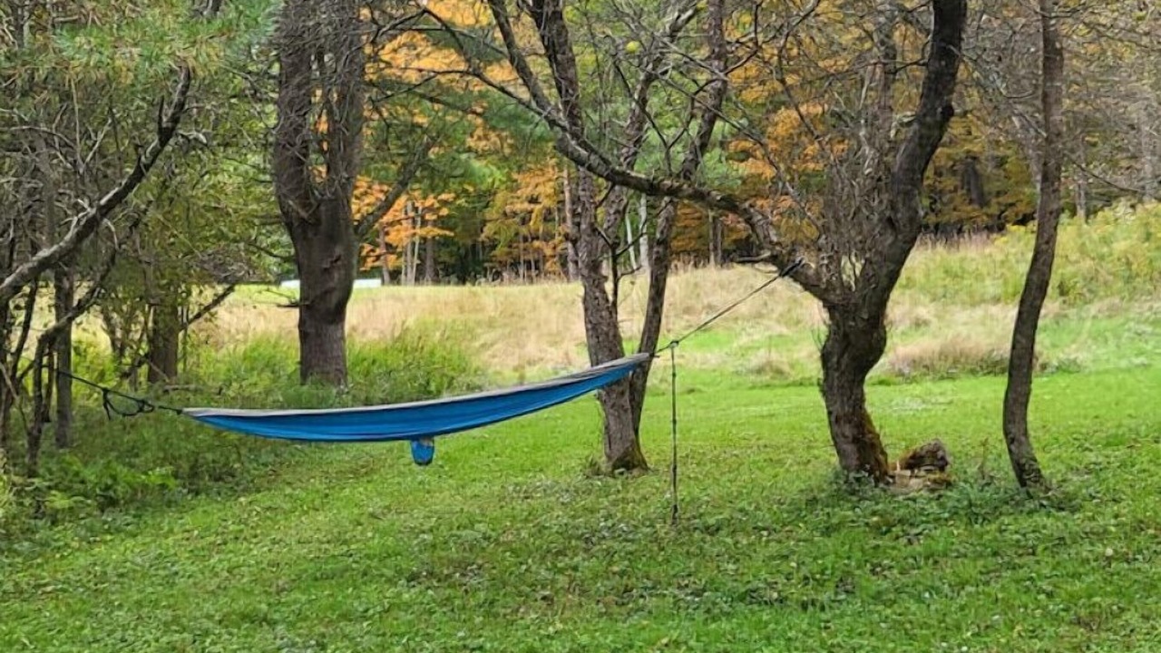 Photo of Outdoor in Oneonta