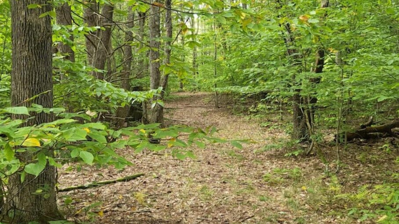 Photo of Outdoor in Oneonta