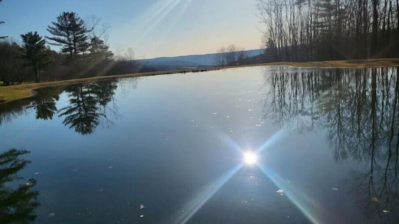 Photo of Others in Oneonta