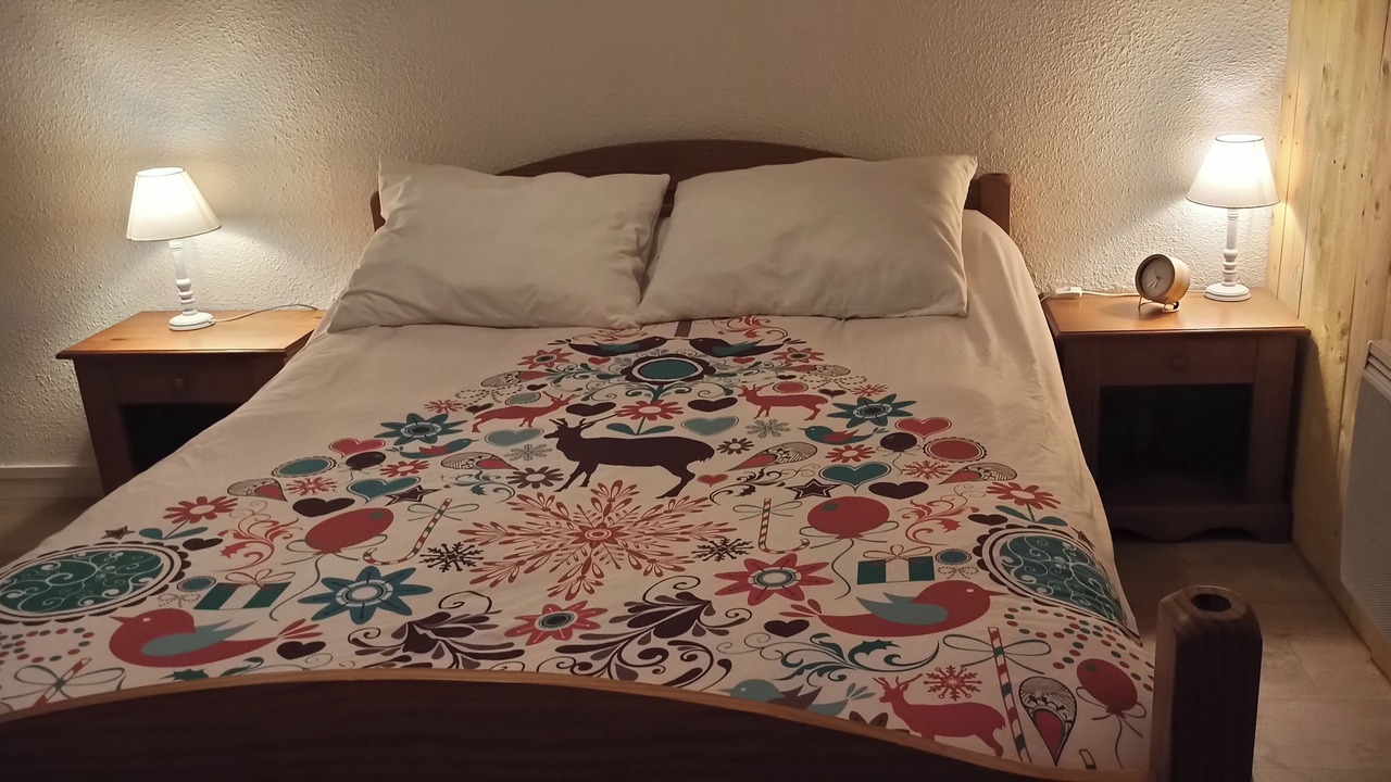 Photo of Bedroom in Guzet Neige