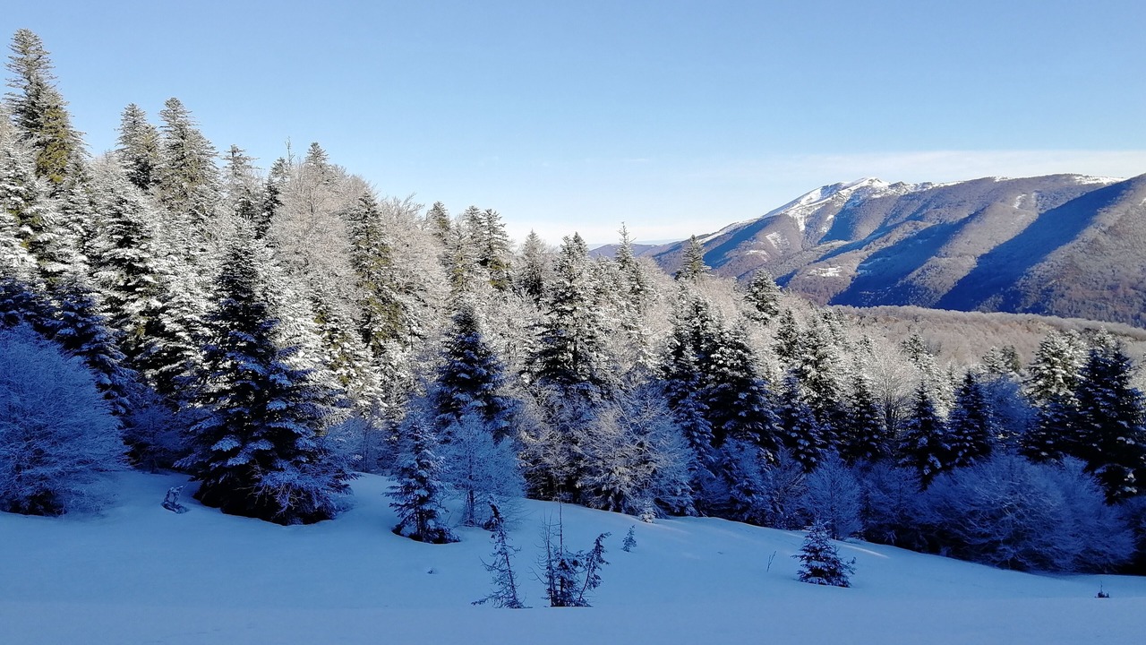 Photo of Others in Guzet Neige