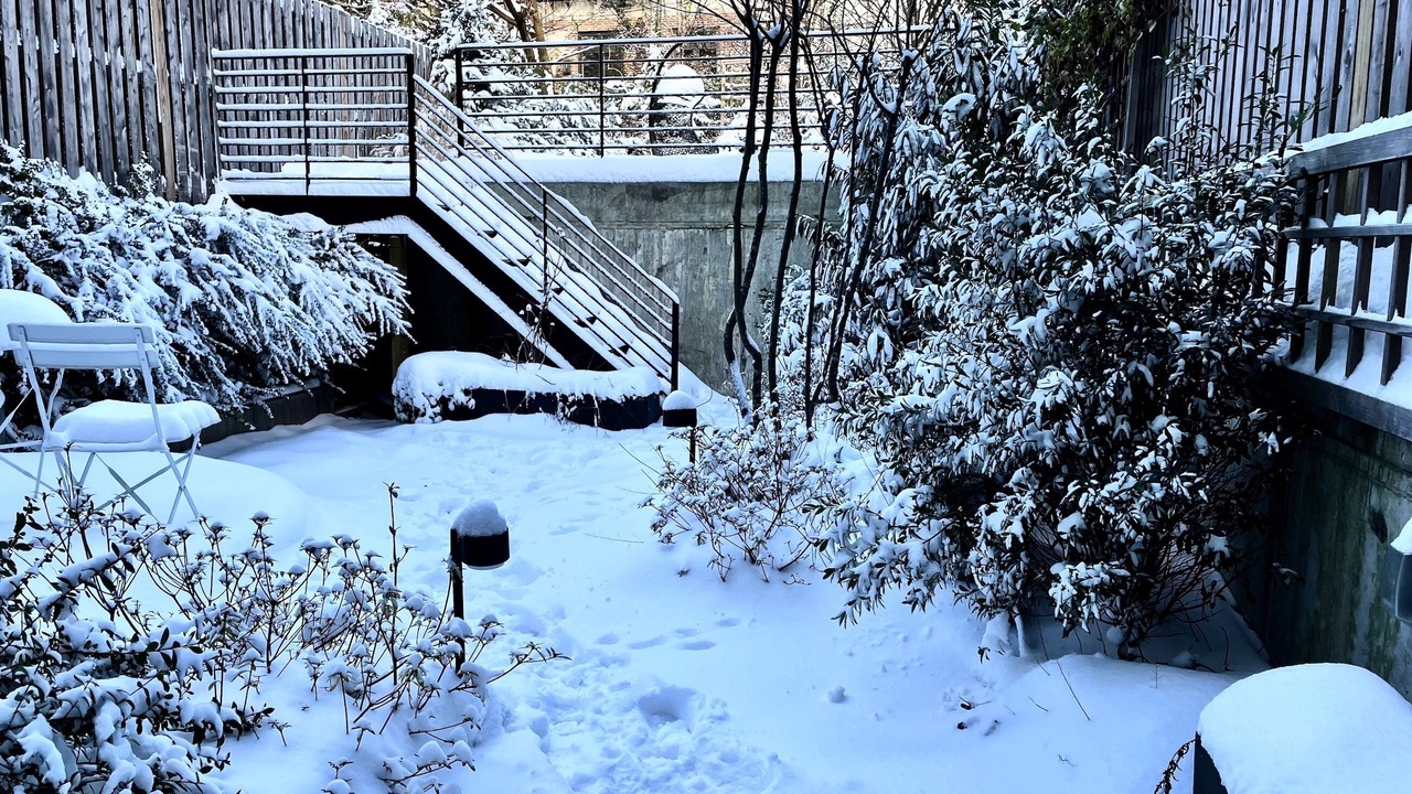 Photo of Outdoor in Boerum Hill