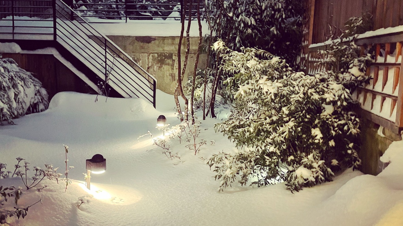 Photo of Outdoor in Boerum Hill