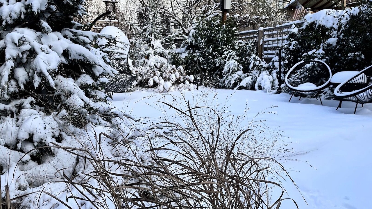 Photo of Outdoor in Boerum Hill