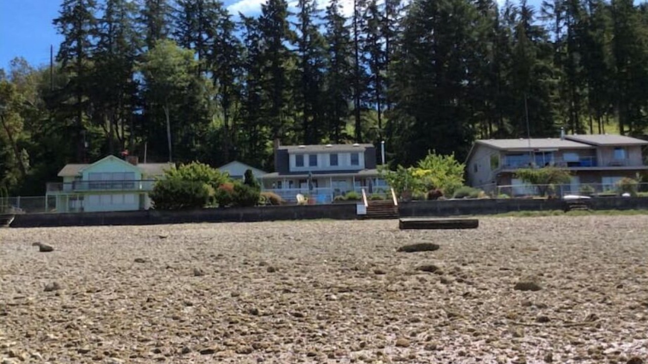 Photo of Outdoor in Victor