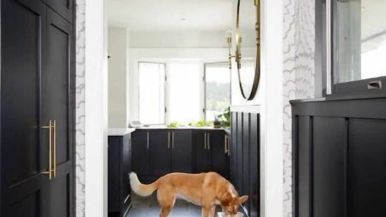 Photo of Others in Victor