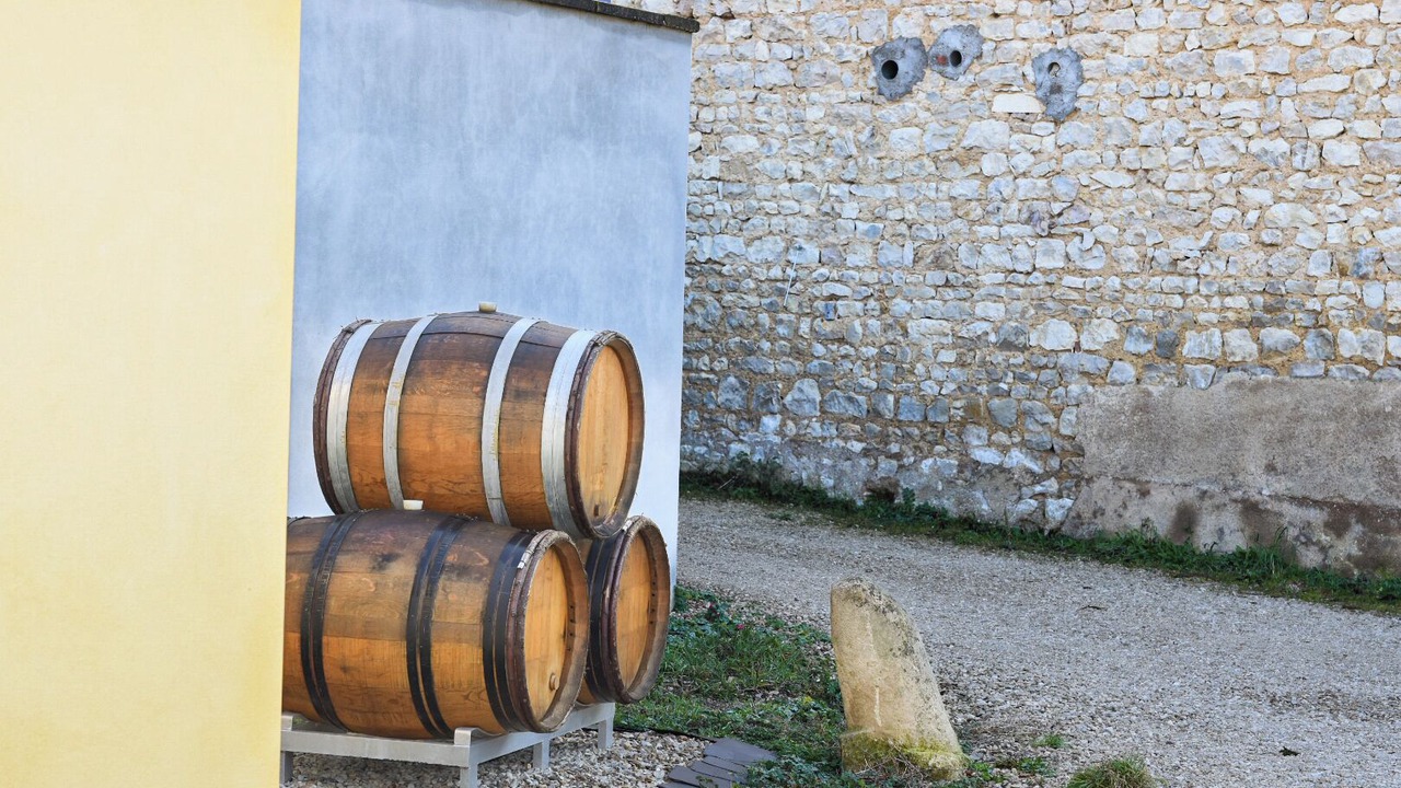 Photo of Others in Auxerre