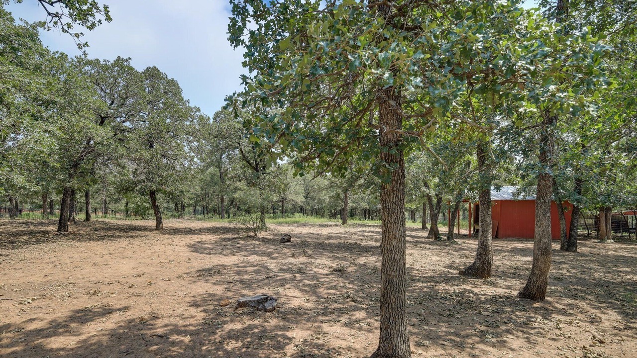 Photo of Outdoor in Flower Mound