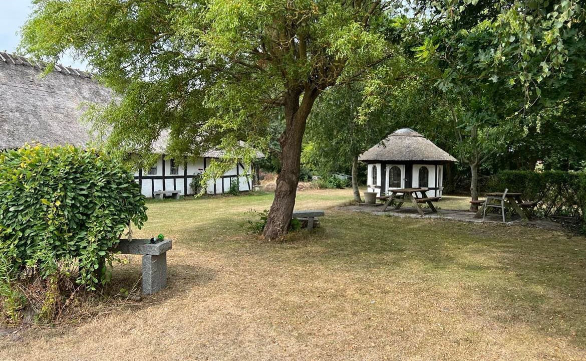 Photo of Outdoor in Bovense