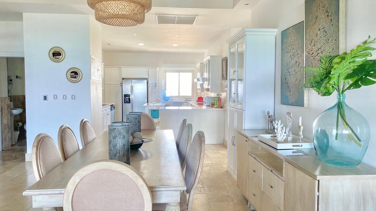 Photo of Others in Cap Cana Marina