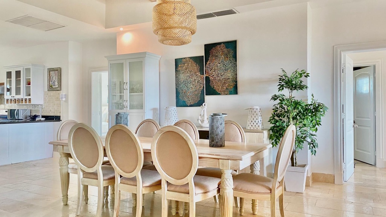 Photo of Others in Cap Cana Marina