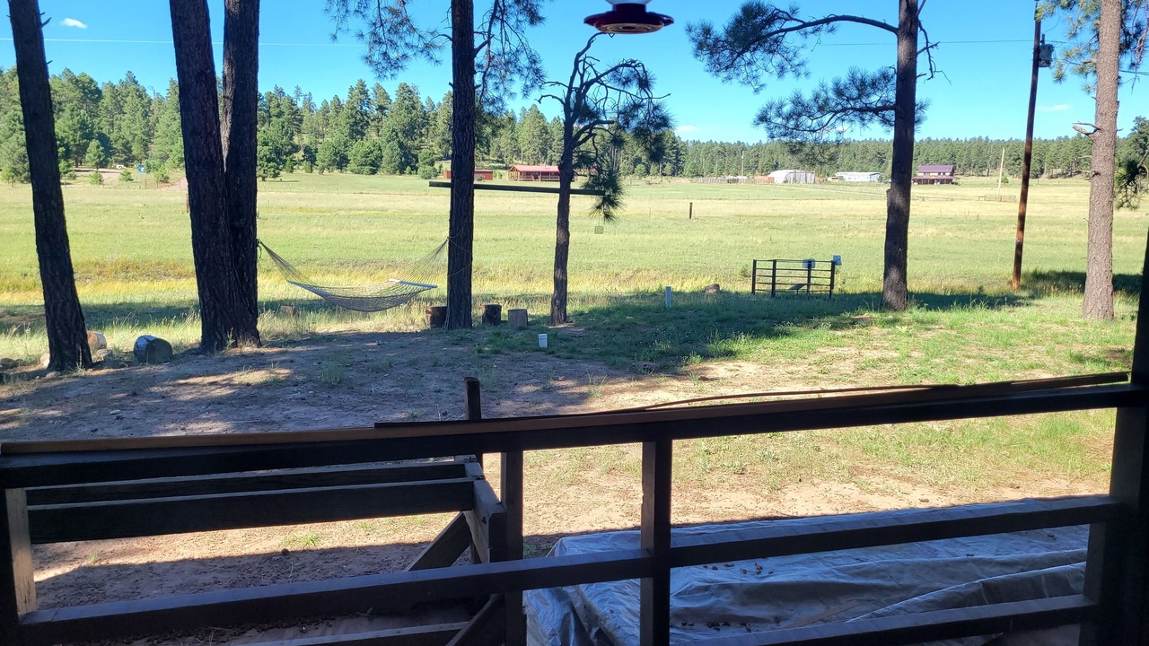 Photo of Outdoor in Alpine
