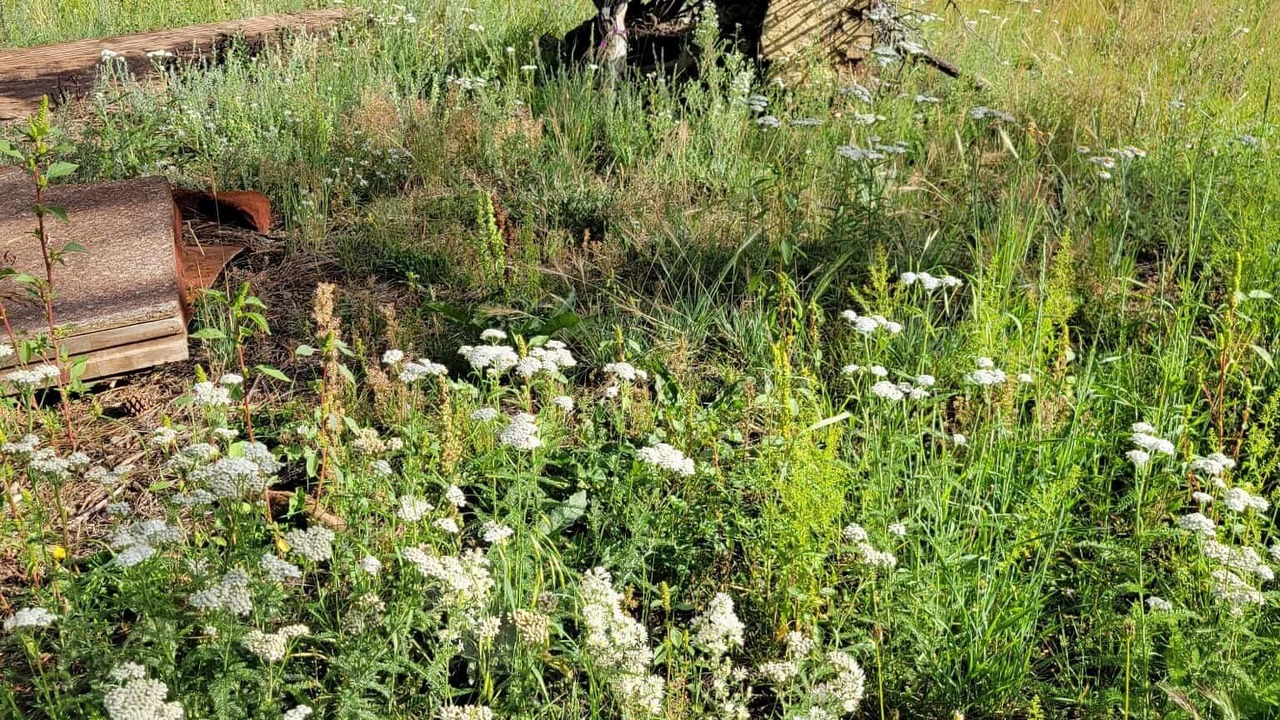 Photo of Outdoor in Alpine