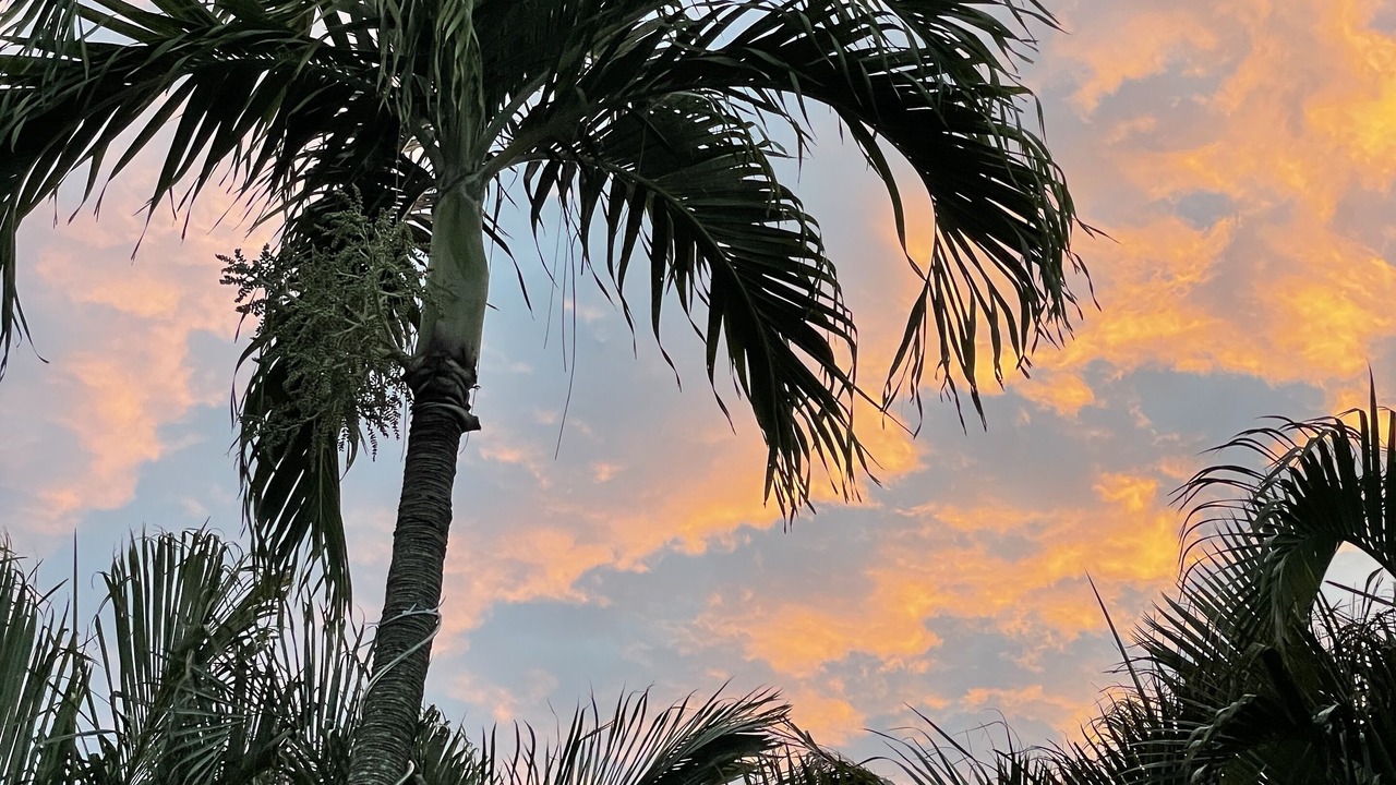 Photo of Others in Poipu