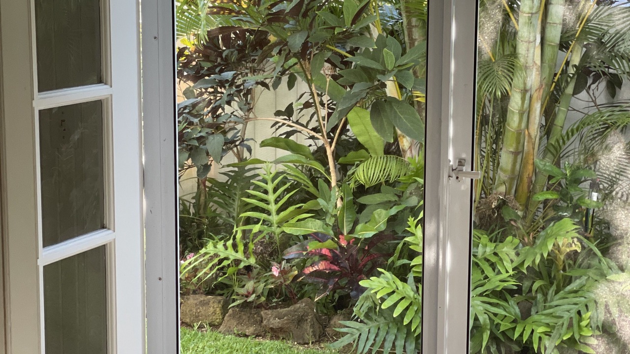 Photo of Others in Poipu