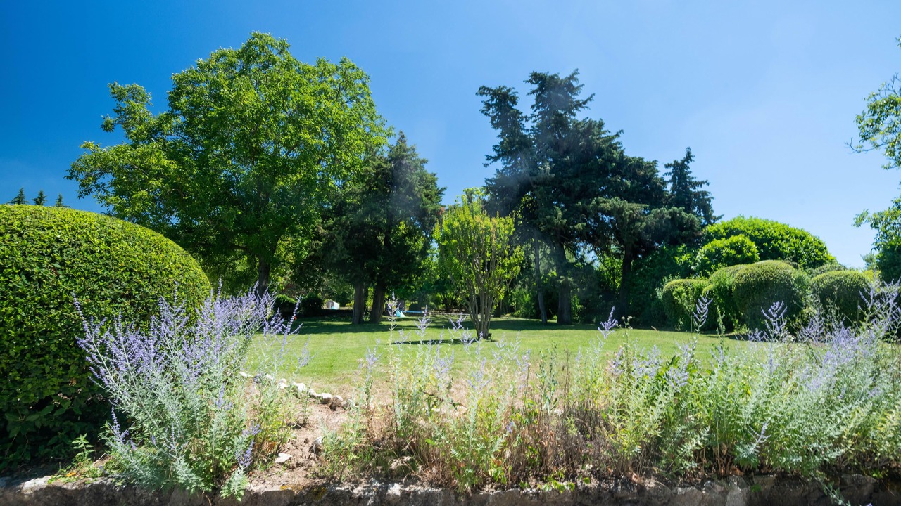 Photo of Outdoor in Malaucene