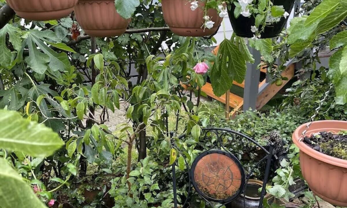 Photo of Outdoor in Clayton