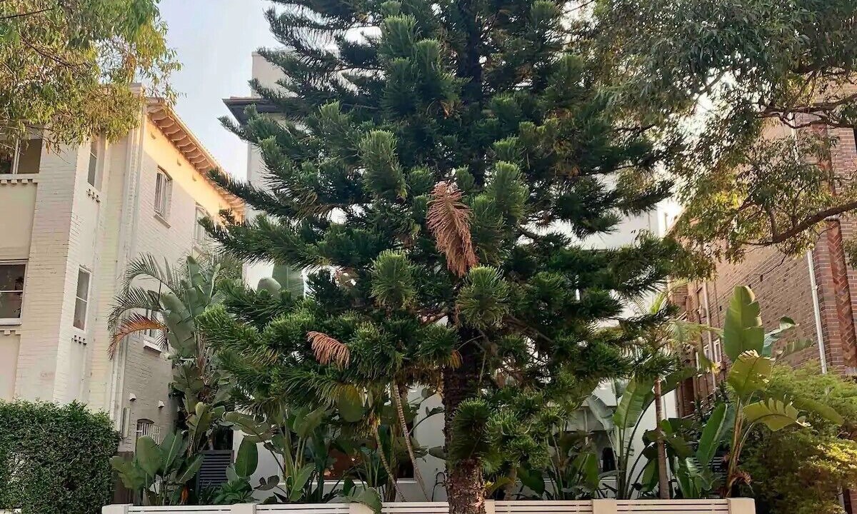 Photo of Outdoor in Bondi Beach