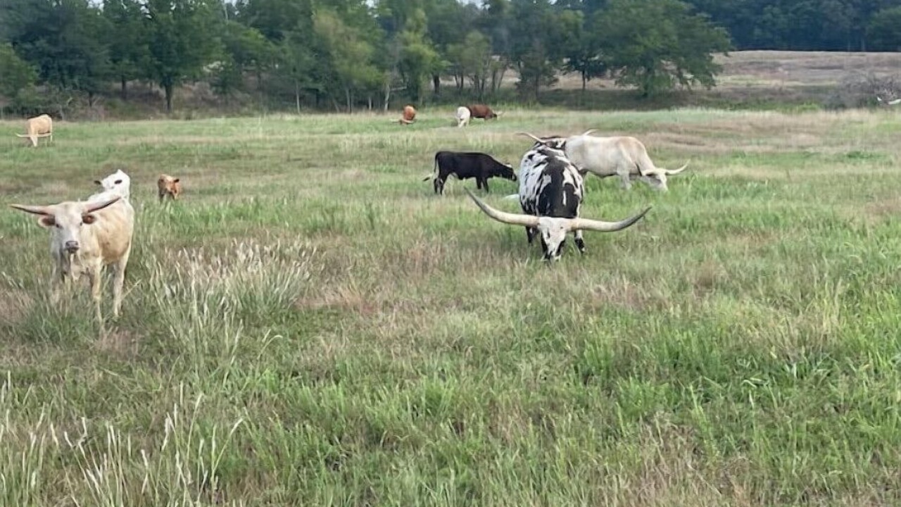 Photo of Others in Hoyt