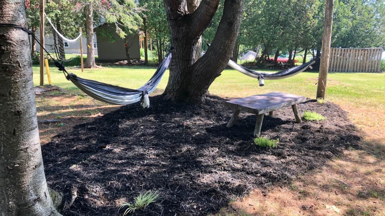 Photo of Outdoor in Broadbent