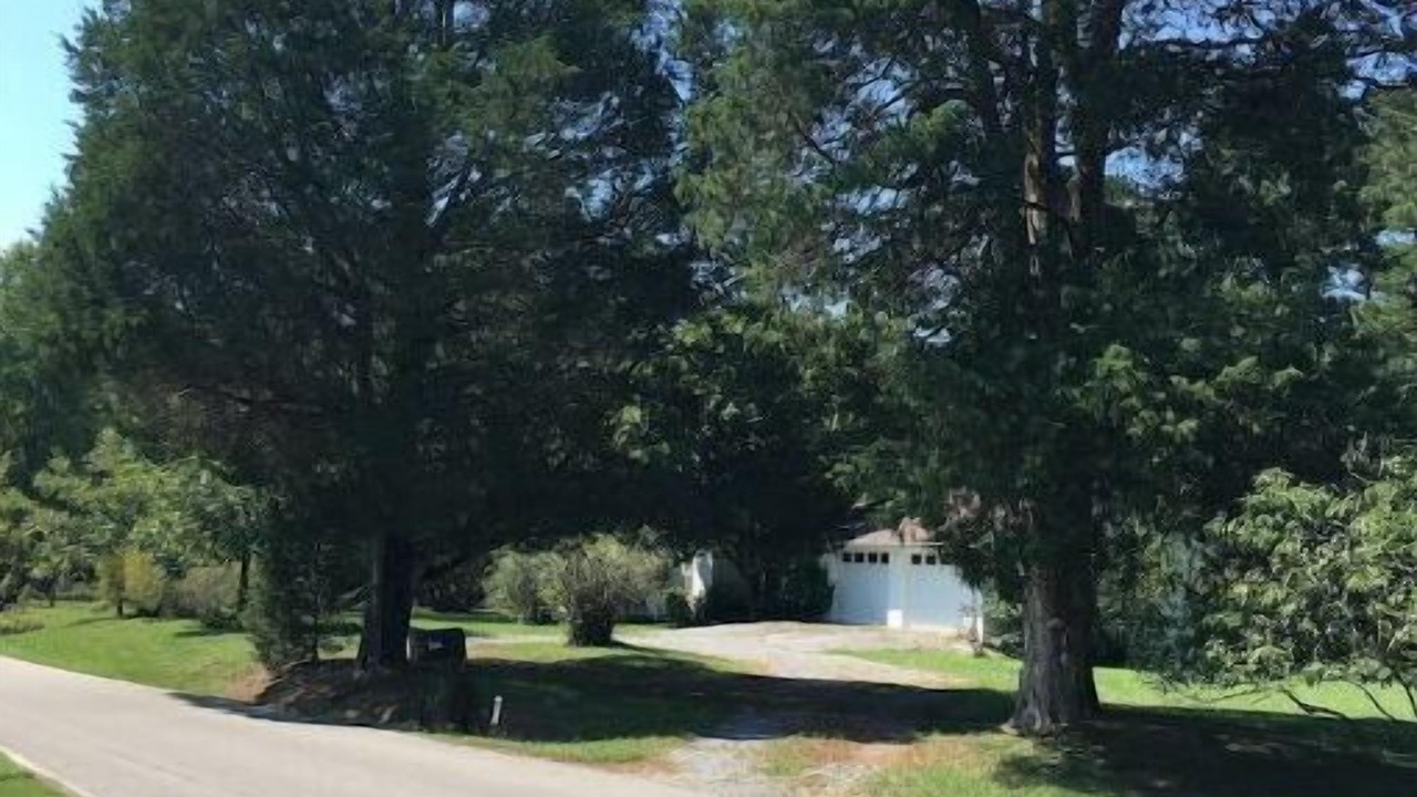 Photo of Outdoor in LaFayette