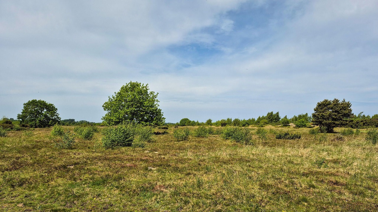 Photo of Others in Eskebjerg