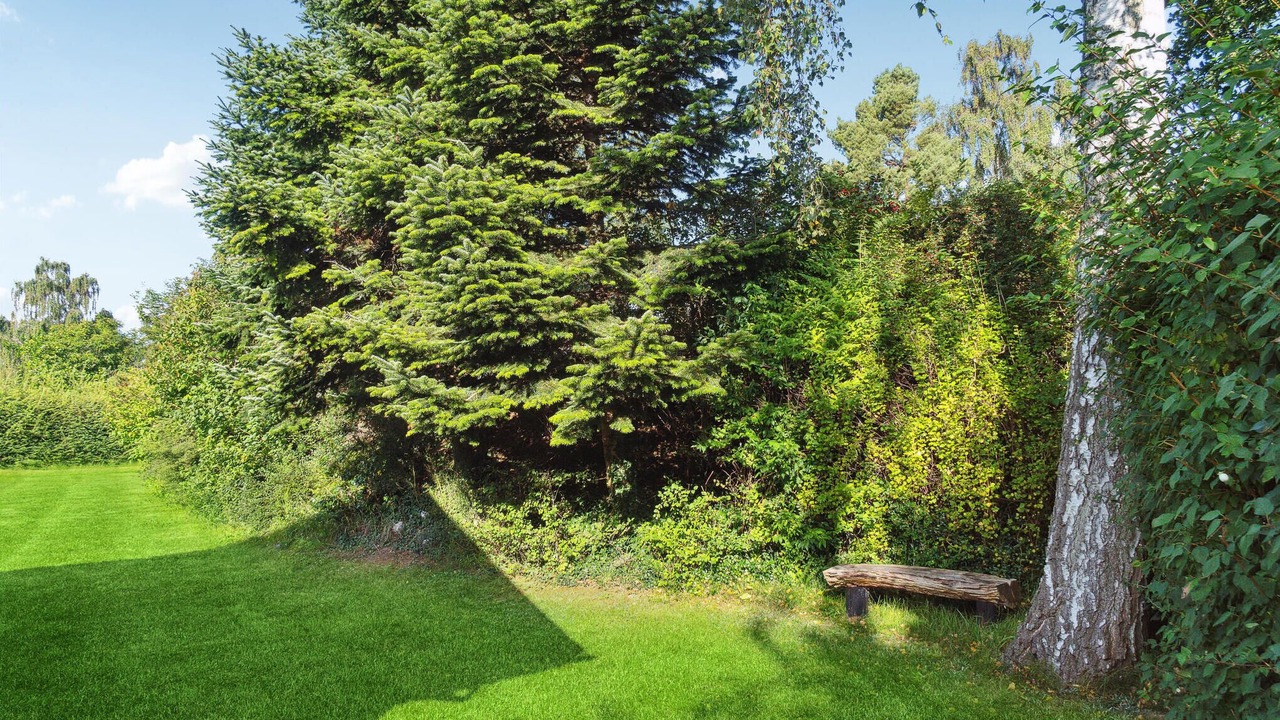 Photo of Others in Beder Malling