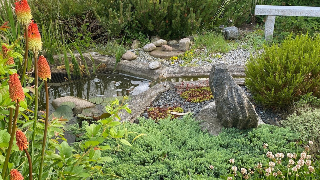 Photo of Others in Vestervig