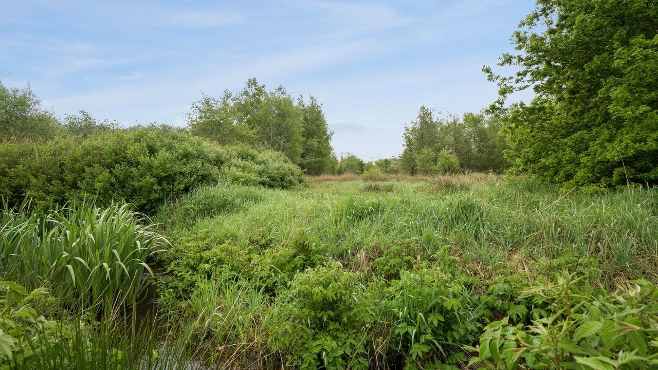 Photo of Others in Sønder Felding