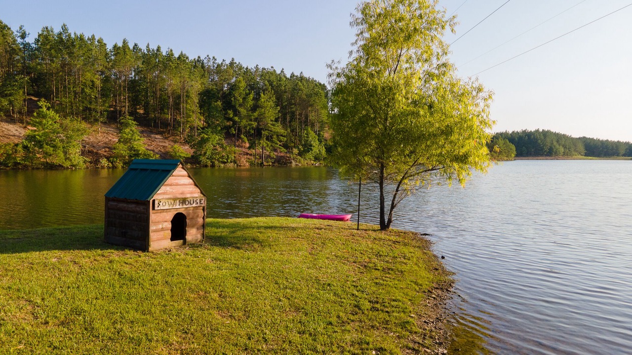 Photo of Outdoor in Amity