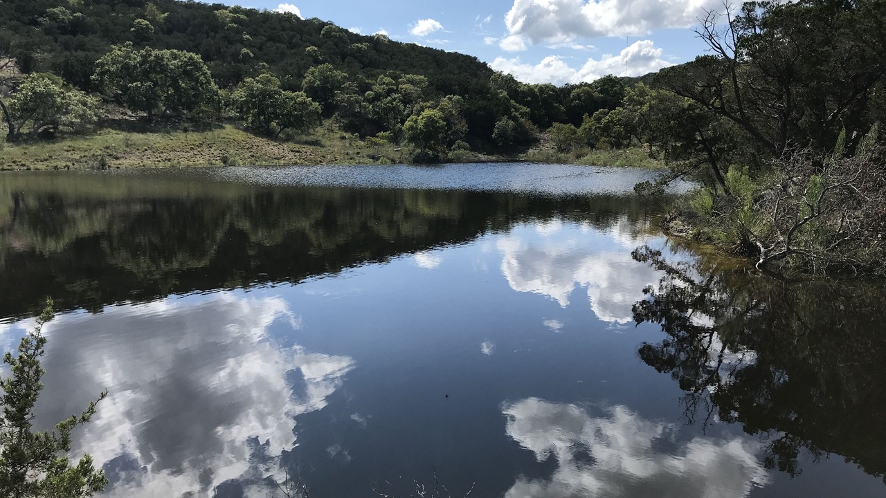 Photo of Others in Blanco