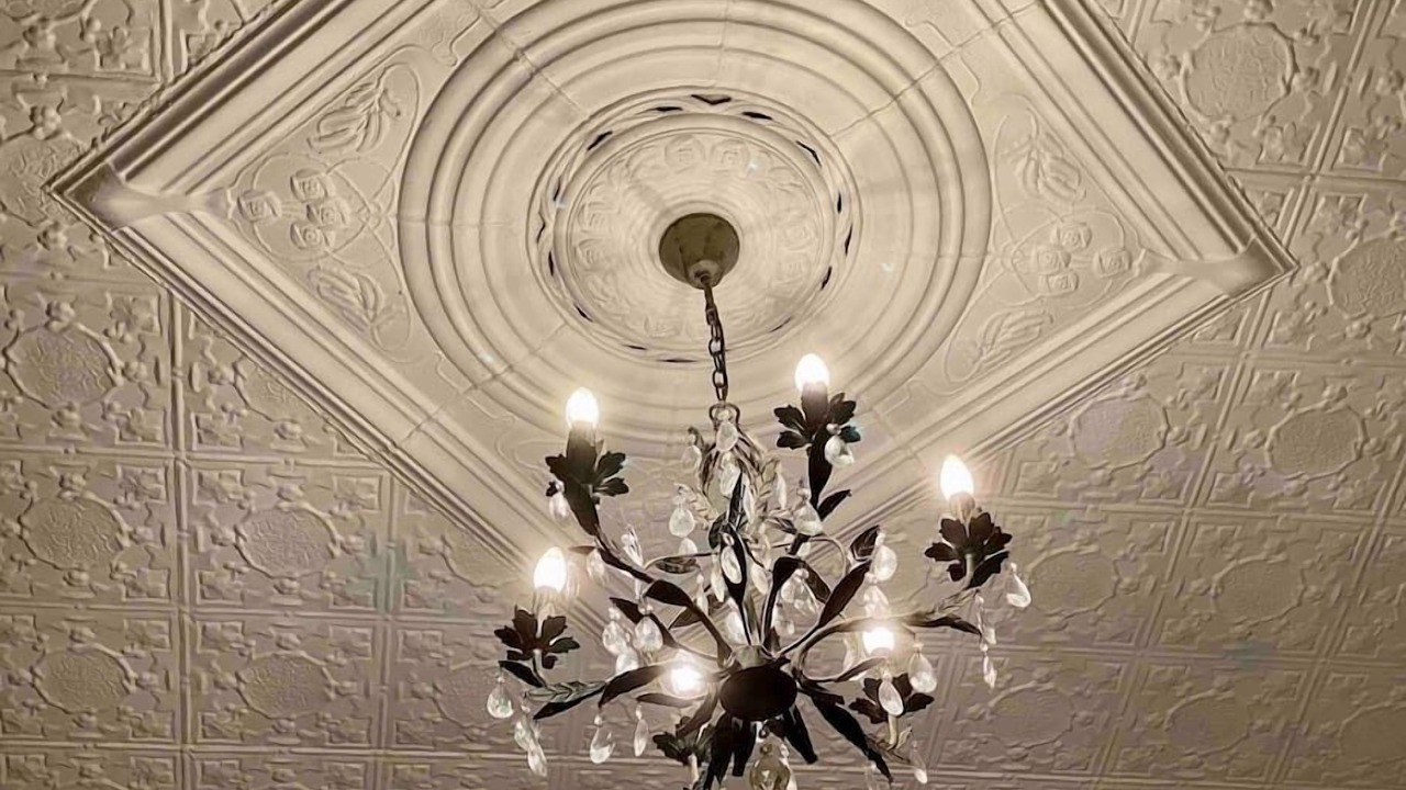 Photo of Others in Freemans Bay