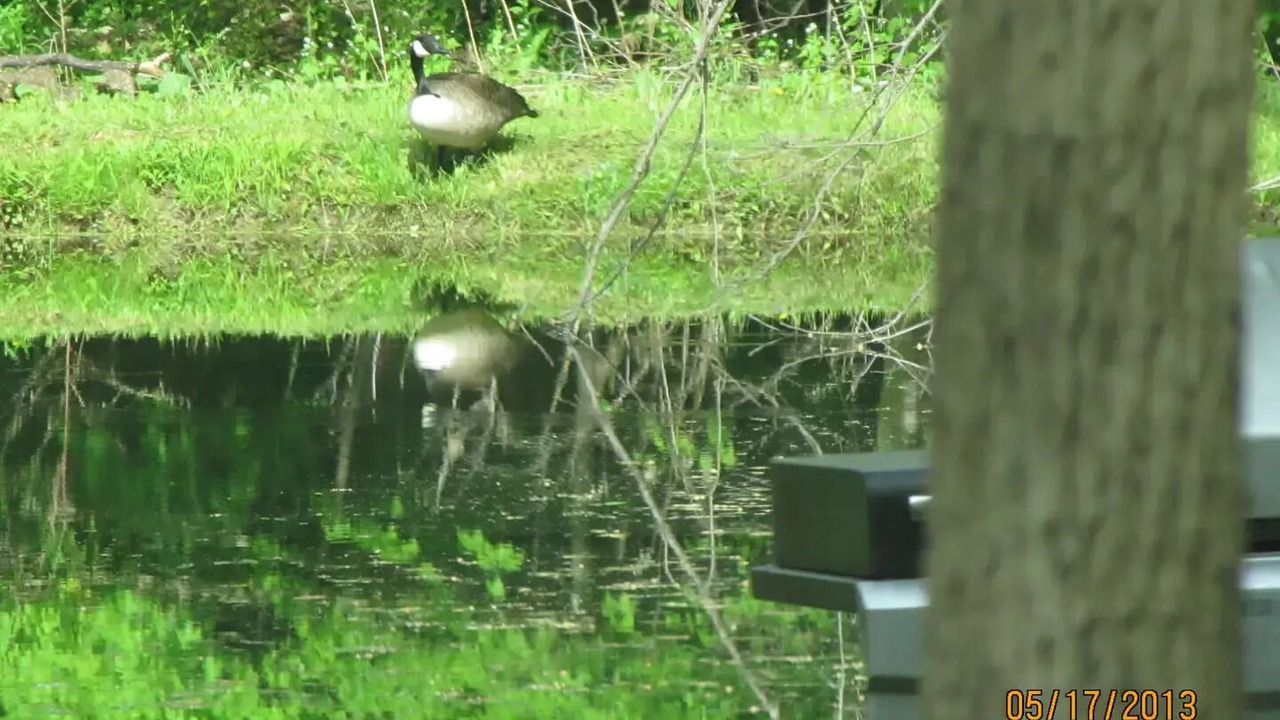 Photo of Others in Dansville