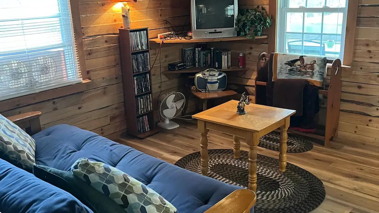 Photo of Livingroom in Dansville