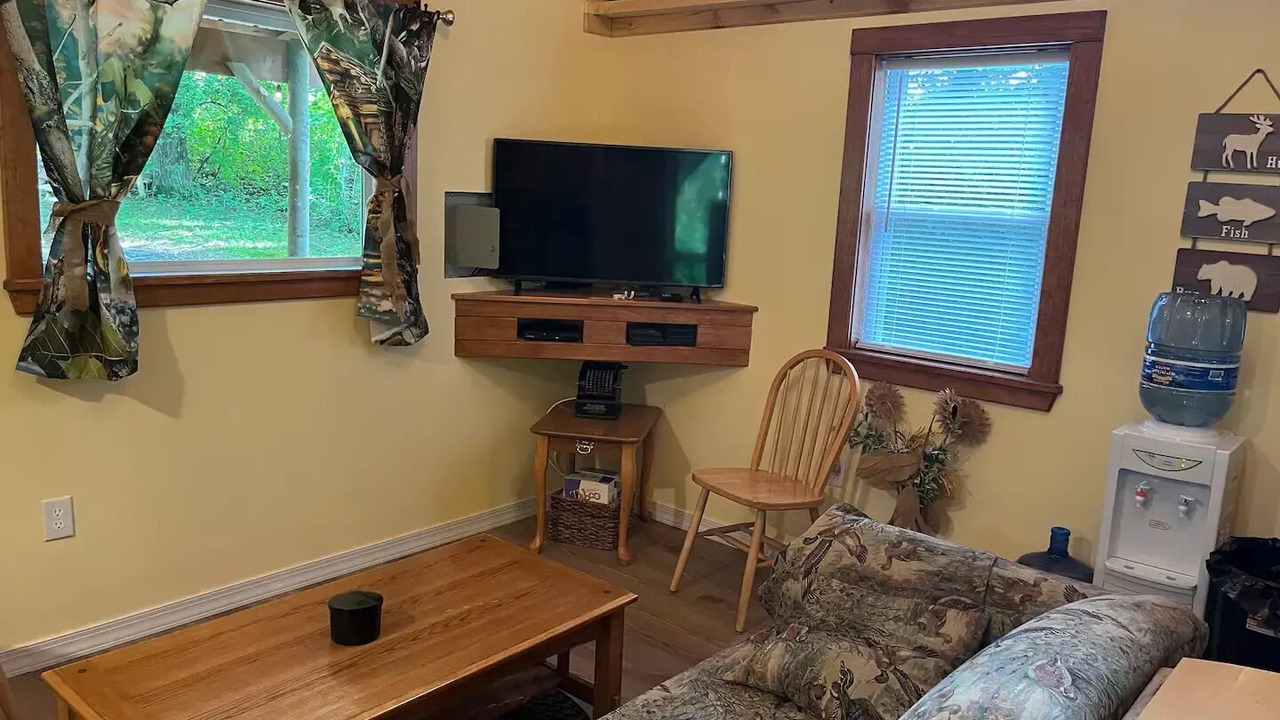 Photo of Livingroom in Dansville