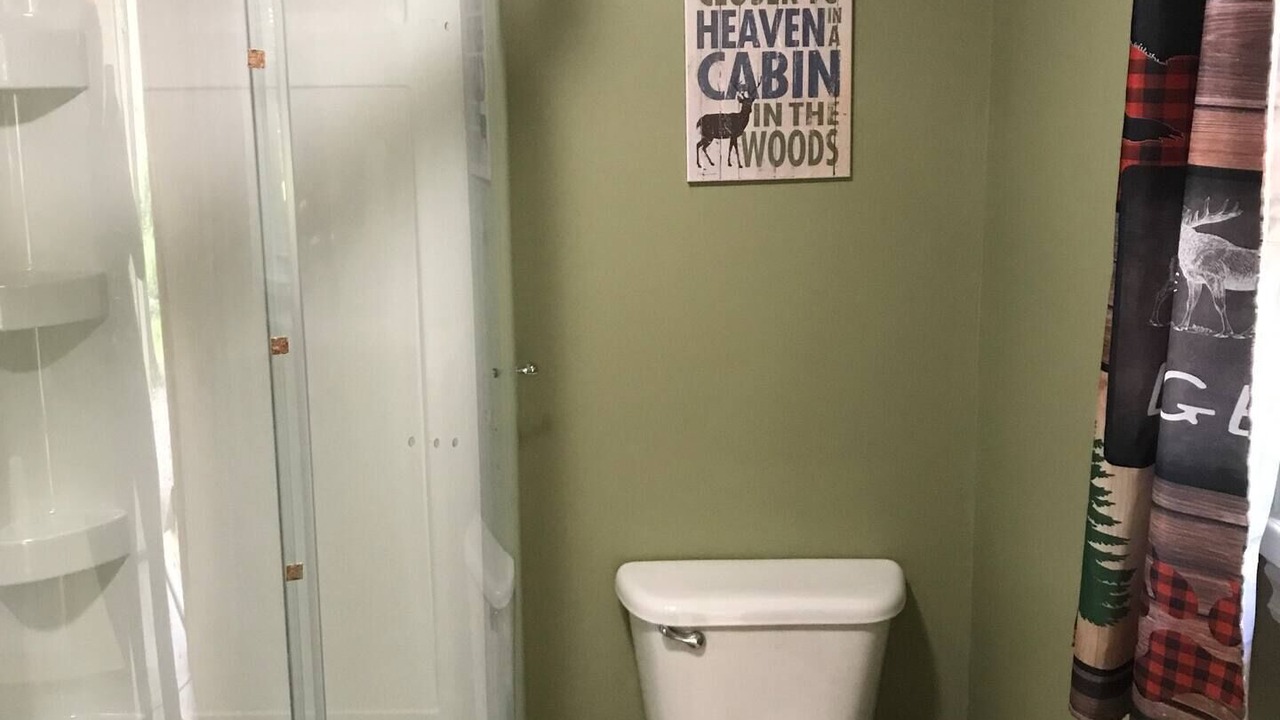 Photo of Bathroom in Dansville