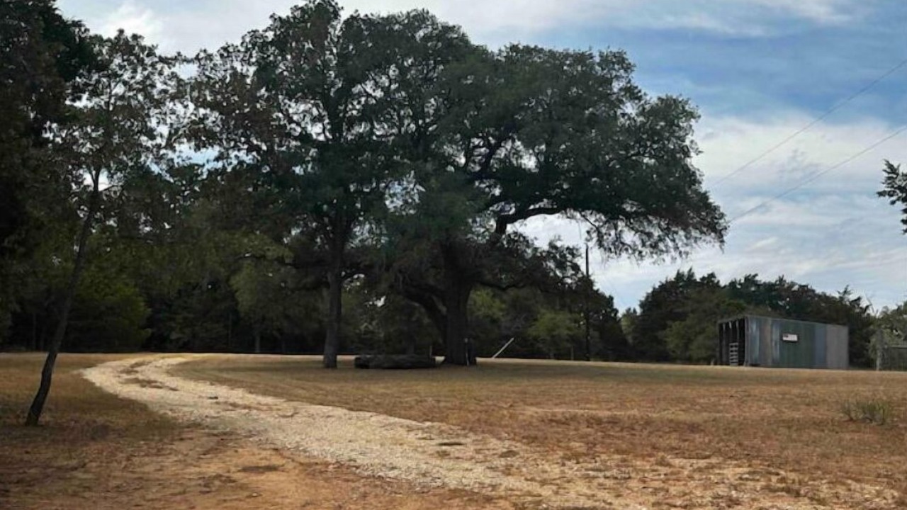 Photo of Others in Cedar Creek