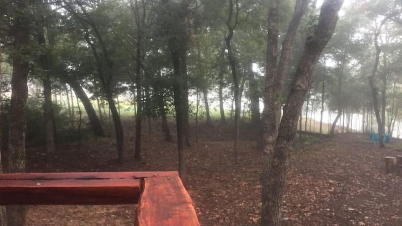 Photo of Others in Cedar Creek