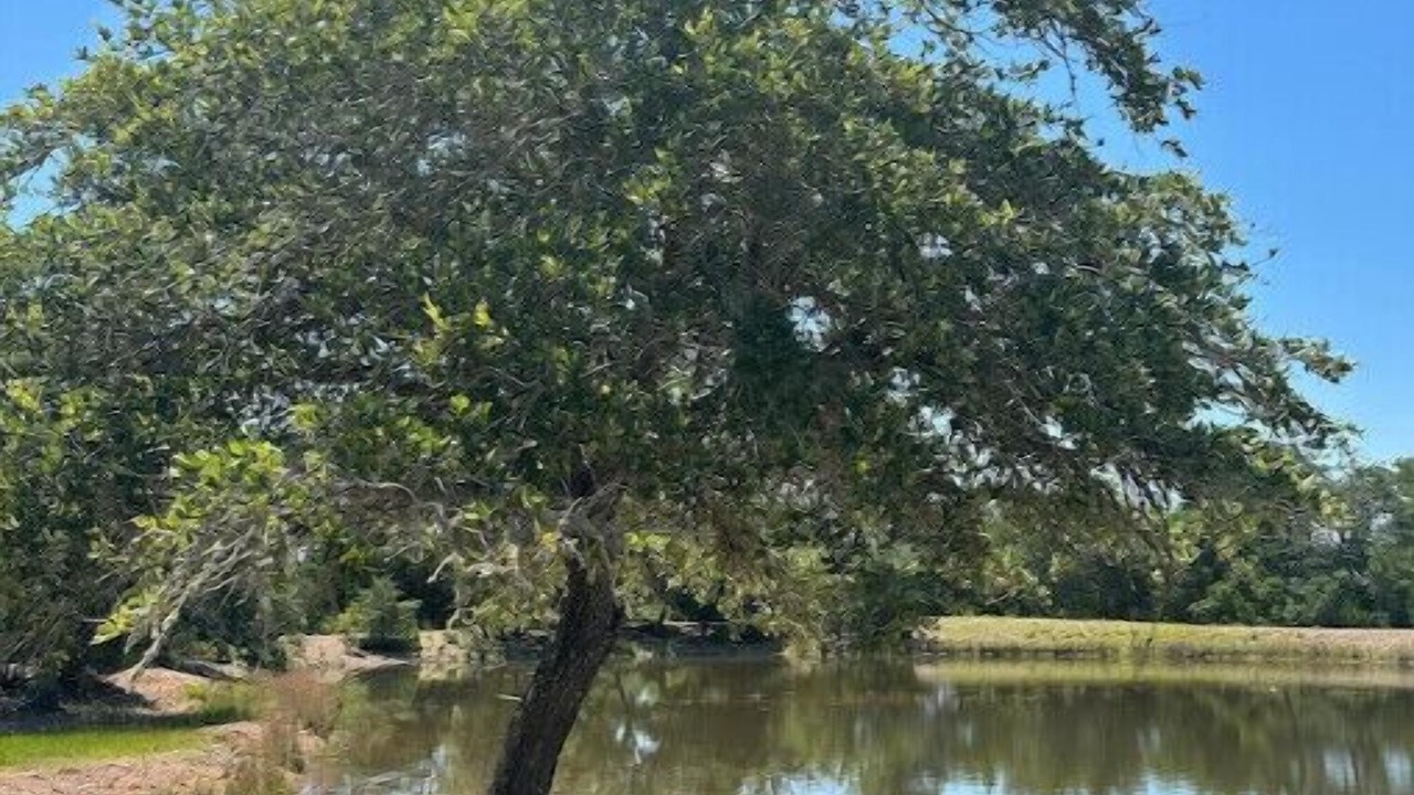 Photo of Others in Round Top
