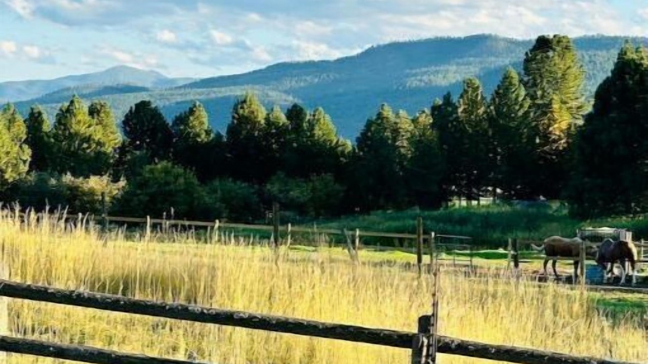 Photo of Outdoor in Frenchtown