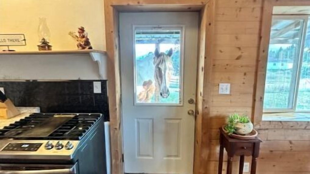 Photo of Kitchen in Frenchtown